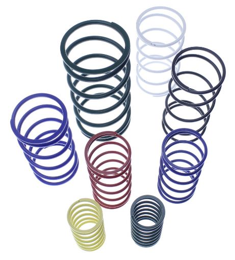 Bild på Replacement Springs - Wastegate