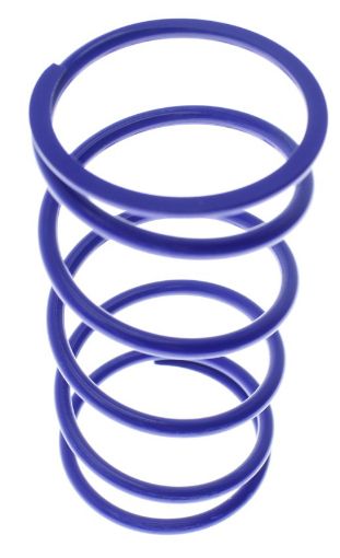Bild på Outer replacement spring - OD 47.1mm - Blue