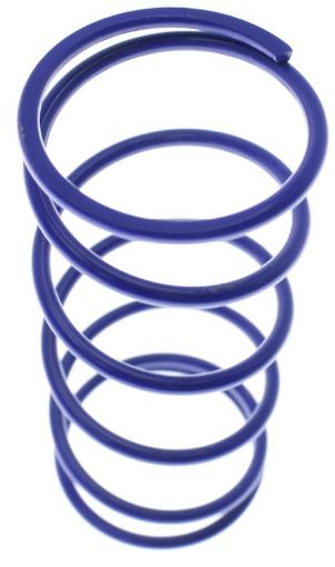 Bild på Middle replacement spring - OD 38.1mm - Blue