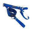 Bild på NRG SFI 3.3 Arm Restraints One Pair - Blue