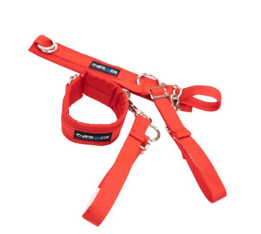 Bild på NRG SFI 3.3 Arm Restraints One Pair - Red