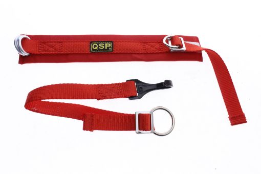 Bild på QSP Arm strop - Arm restraints SFI 3.3 Approval - RED