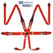 Bild på RRS FIA 3" 2" R6 HANS® 2,8 Kg Röd Säkerhetssele