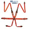 Bild på RRS FIA 3" 2" R6 HANS® 2,8 Kg Orange Säkerhetssele