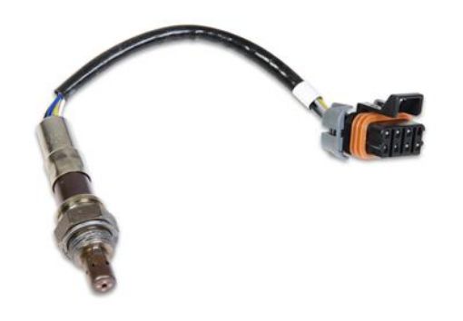 Bild på Holley 554-100 - Holley EFI O2 Sensors