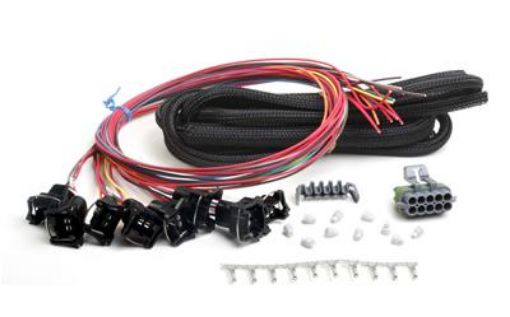 Bild på Holley EFI Systems Wiring Harnesses 558-204