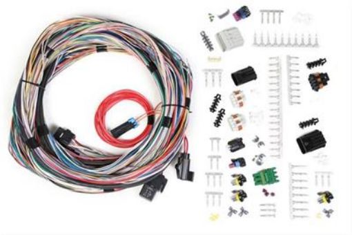 Bild på Holley EFI Systems Wiring Harnesses 558-105