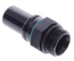 Bild på AN10 - AN8 O-ring (3/4"x16 SAE UNF) - Black
