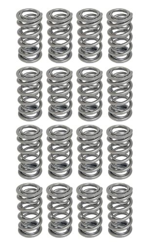 Bild på Trick Flow® by PAC Racing Dual Valve Springs TFS-16521-16