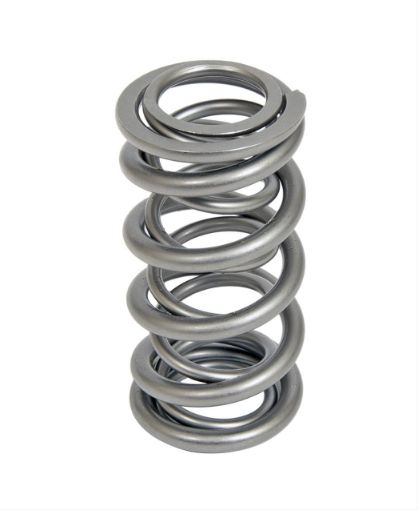 Bild på Trick Flow® by PAC Racing Dual Valve Springs TFS-16521-1